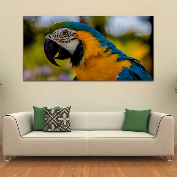 Beautiful Birds Canvas Wall Paintings & Arts
