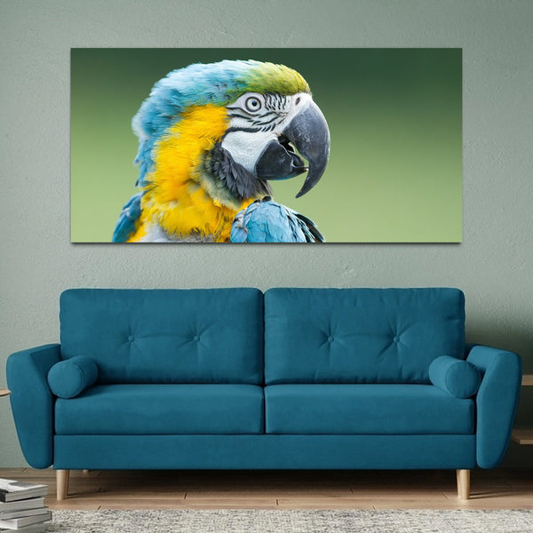 Beautiful Bird Canvas Wall Paintings & Arts