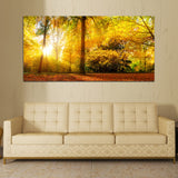 Beautiful Sunlight with Forest Canvas Wall Painting& Arts