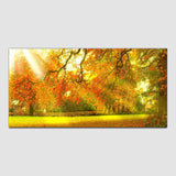 Beautiful Sunrise with Forest and River Canvas Wall Painting