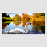 Beautiful Swan and river with sunrise Canvas Wall Painting