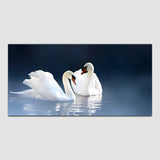 Two White Ducks under Water Canvas Wall Painting