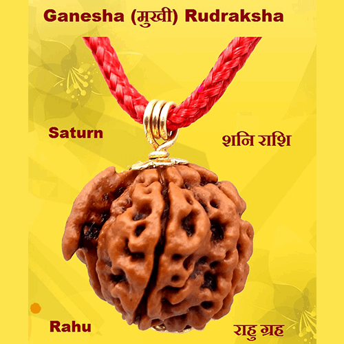 Ganesh-MUKHI Rudraksha