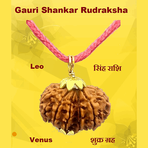 Gauri-Shankar Rudraksha
