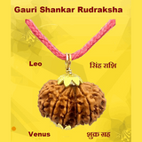 Gauri-Shankar Rudraksha Lab Certified