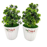 Artificial Plants with Pot Bonsai Potted Plastic Faux Green Grass Fake Topiaries Shrubs for Home, Garden and Office Decor