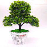 Interior Home Decor  Artificial Plant with Plastic Pot and Cute  for Home, Office, Garden Decoration