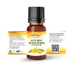 Ylang Ylang Essential Oil For Skin, Hair Care, Home Fragrance, Aroma Therapy 15ml (Pack of 2)