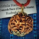 Ganesh-MUKHI Rudraksha