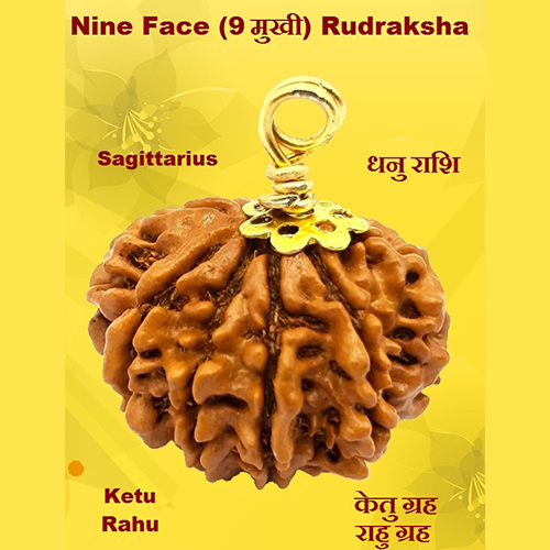 Nine Face(Nau-Mukhi) Rudraksha Lab Certified