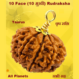 Ten Face(Dus-Mukhi) Rudraksha Lab Certified