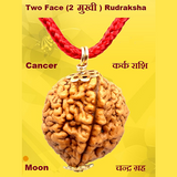 Two Face(Do-Mukhi) Rudraksha Lab Certified