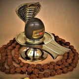 Narmadeshwar Shivling with Brass Nagfani