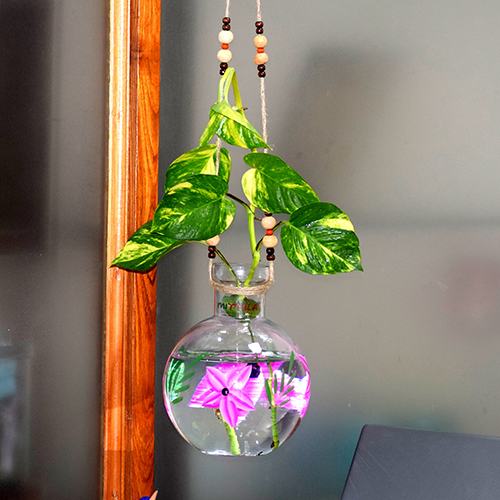 Mithilashri Glass Vase Set of 2 Round Hanging 20x16 cm  iron L shape hanger for Money Plant Elegant Flower Designed Vase |Lucky Bamboo Plant | Elegant Flower Designed Vase | Flower Pot | Clear 20X16 cm