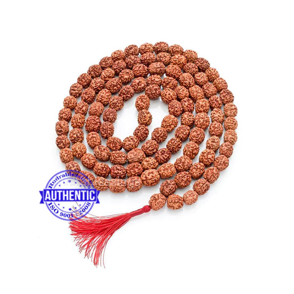 Mithilashri Three Face Rudraksha 108 Beads Mala Natural Teen Mukhi Rudraksha Lab Certified Mala {Beads 108+1} 5mm Jaap Mala
