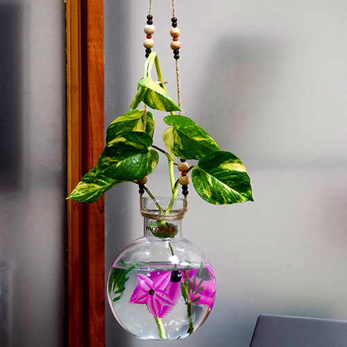 Mithilashri Round Color Hanging Glass Vase 20X16 cm With Iron L Shape hanger for Money Plant  Lucky Bamboo Plant Elegant Flower Designed Vase | Flower Pot | Clear 20X16 cm