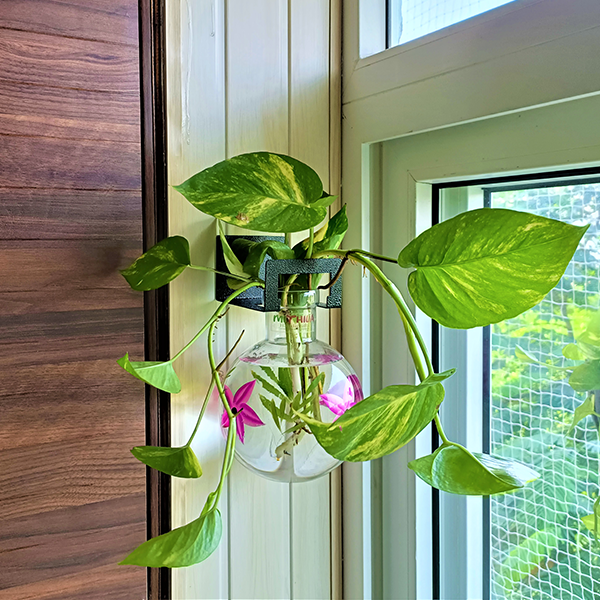 Mithilashri Round Flower Glass Vase With Iron Hanger 12X10 Cm Elegant Flower Designed Vase For Money Plant, Lucky Bamboo Plant