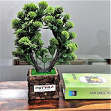 Artificial Bonsai Plant with Elegant COCONUT NAMSATE Pot