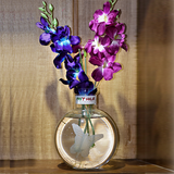 Round Glass Vase - Large - Butterfly - 20X16 Cm