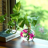 Mithilashri Round Flower Glass Vase 12X10 Cm Elegant Flower Designed Vase For Money Plant, Lucky Bamboo Plant | Flower Pot