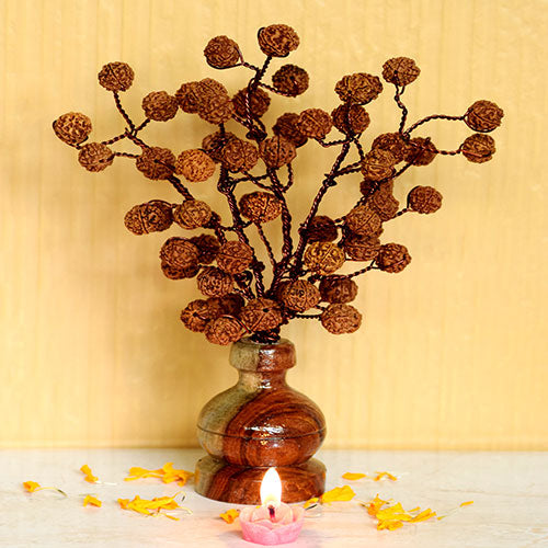 Rudraksha Bouquet-5 Face Rudraksh-Natural-54 Beads