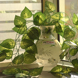 OVAL GLASS VASE WITH ARTIFICIAL MONEY PLANT
