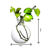 Mithilashri Round Glass Vase  with Jute Rope Hanging And Wall Hanger for Money Plant Lucky Bamboo Plant | Elagant Ball Shaped Vase | Flower Pot | Clear 20*16CM