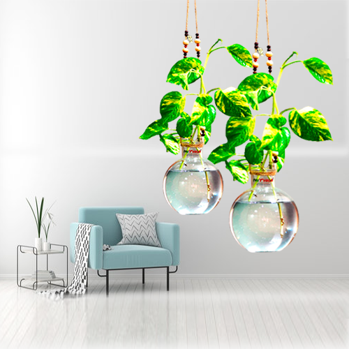 Mithilashri Round Glass Vase with Jute Rope Wall Hanger Hanging Set of 2 for Money Plant Lucky Bamboo Plant