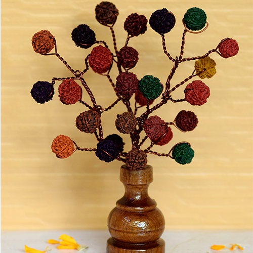 Rudraksha Bouquet-5 Face Rudraksh-Multi Colour-27 Beads