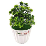 Artificial Plants with Pot Bonsai Potted Plastic Faux Green Grass Fake Topiaries Shrubs for Home, Garden and Office Decor