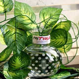 ROUND GLASS VASE WITH ARTIFICIAL MONEY PLANT-SMALL-POLKA DOTS