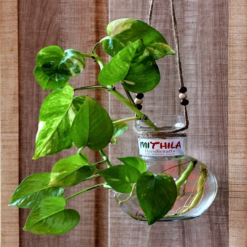 Mithilashri Round Glass Vase - Small - Hanging - 12X10 Cm
